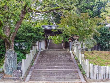 【愛媛県】松山市・東雲神社 東雲神社,寺社仏閣,神社の写真素材