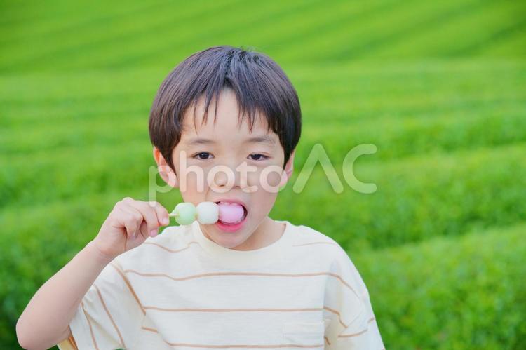 三色団子を食べている男の子 男の子,三色団子,団子の写真素材