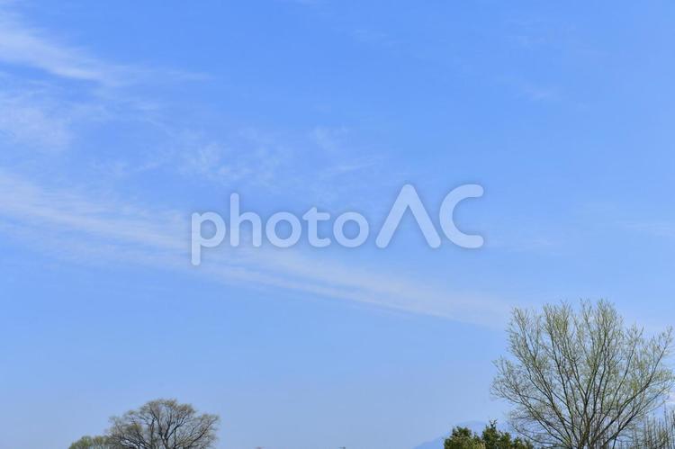 気持ちよく晴れ渡る空と雲 空,青空,空と雲の写真素材