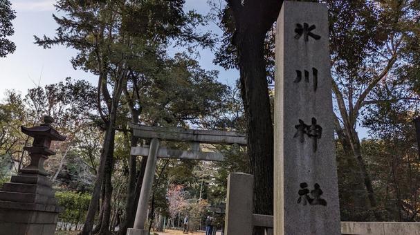 赤坂氷川神社 鳥居 社号標 赤坂氷川神社,氷川神社,縁結びの写真素材