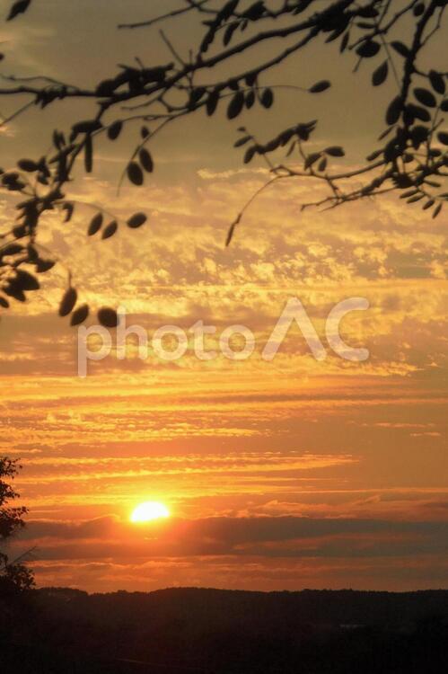 147　石狩平野の夕陽-7 夕陽,太陽,石狩平野の写真素材