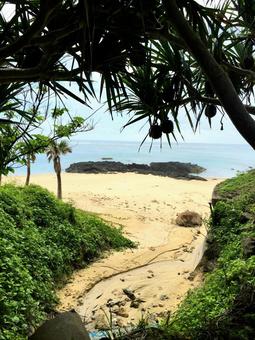 Photo, strand, tropisches land, meer, 