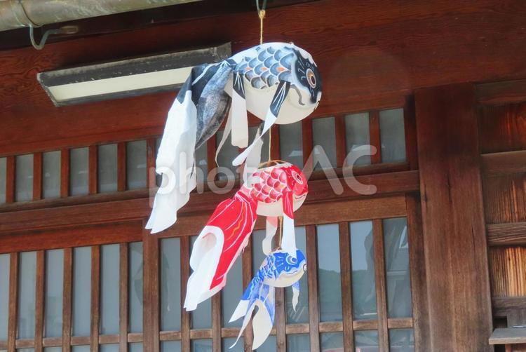 【山口県】白壁の町並みの金魚ちょうちん 重要伝統的建造物群保存地区,町並み,山口の写真素材