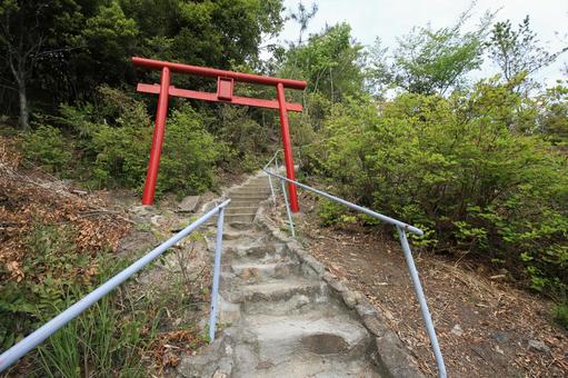岡山県倉敷市 穴場稲荷 奥院への遊歩道 岡山県倉敷市 穴場稲荷 奥院への遊歩道 穴場稲荷,穴場稲荷奥院,奥院の写真素材