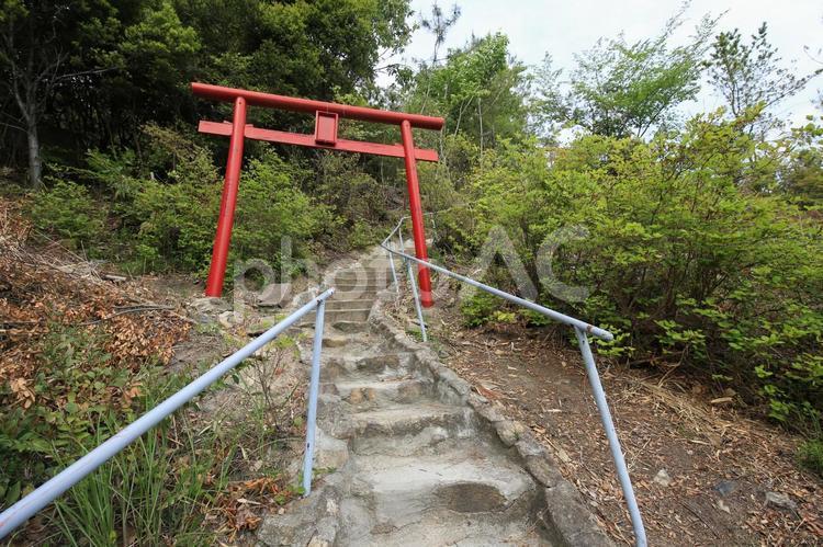 岡山県倉敷市　穴場稲荷　奥院への遊歩道 穴場稲荷,穴場稲荷奥院,奥院の写真素材