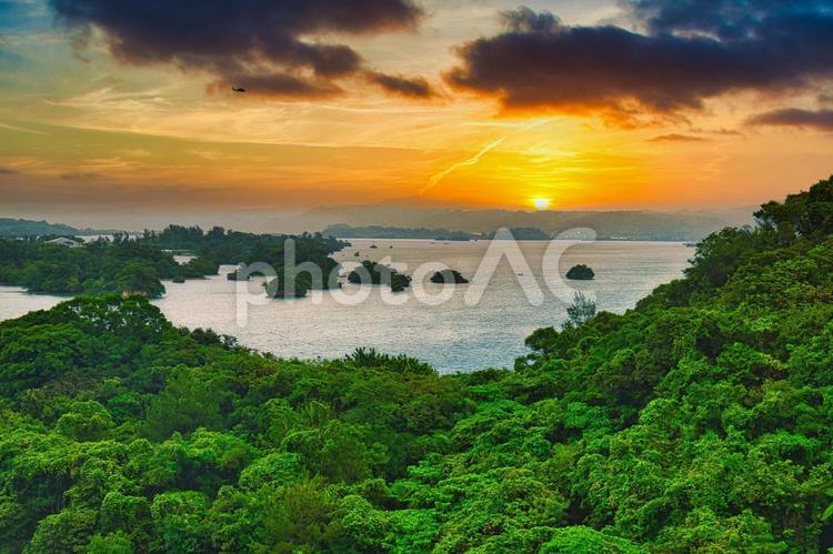 沖縄北部の風景 沖縄,北部,森の写真素材