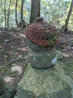 苔むした石塔と森の静寂の写真