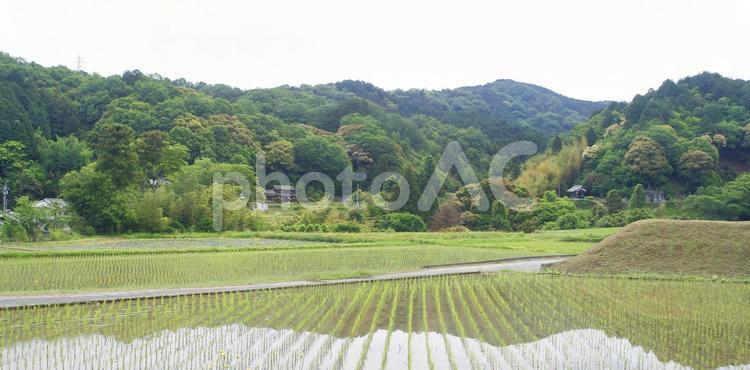 里山の田園風景-04 景色,穏やか,のどかの写真素材