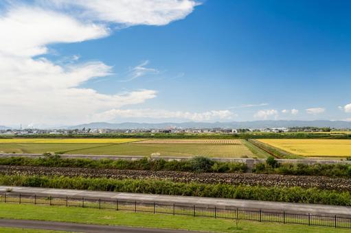 岩沼海浜緑地南ブロックの風景⑺ 岩沼海浜緑地南ブロックの風景⑺の写真