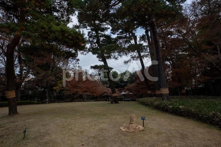 大田墨公園散歩 大田墨公園,杉並区,東京都の写真素材