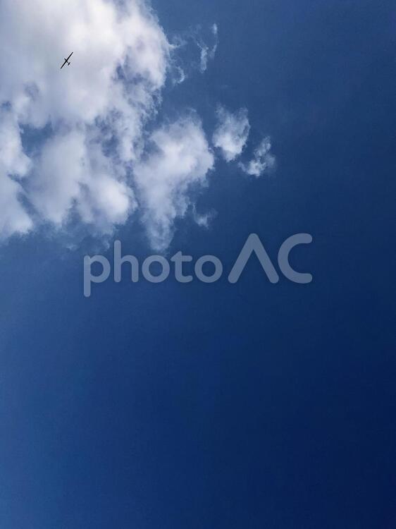 飛行機　雲　空　天空　青　自然 空,何人もありません,飛行機の写真素材