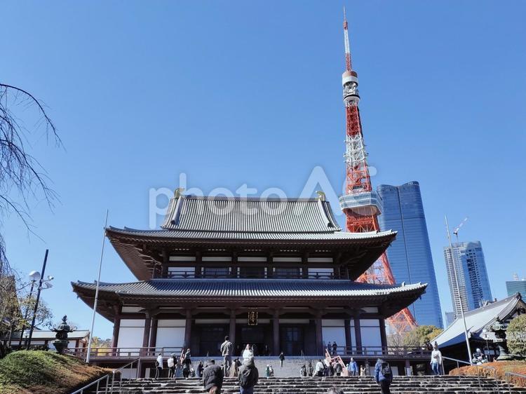 増上寺と東京タワー 東京タワー,増上寺,東京の写真素材