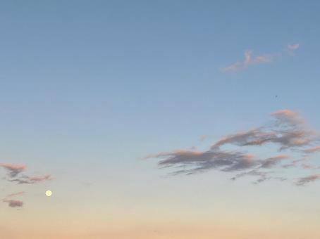 月と夕焼け 月と夕焼けの写真