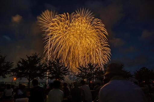 長岡まつり大花火大会 長岡まつり,大花火大会,花火の写真素材