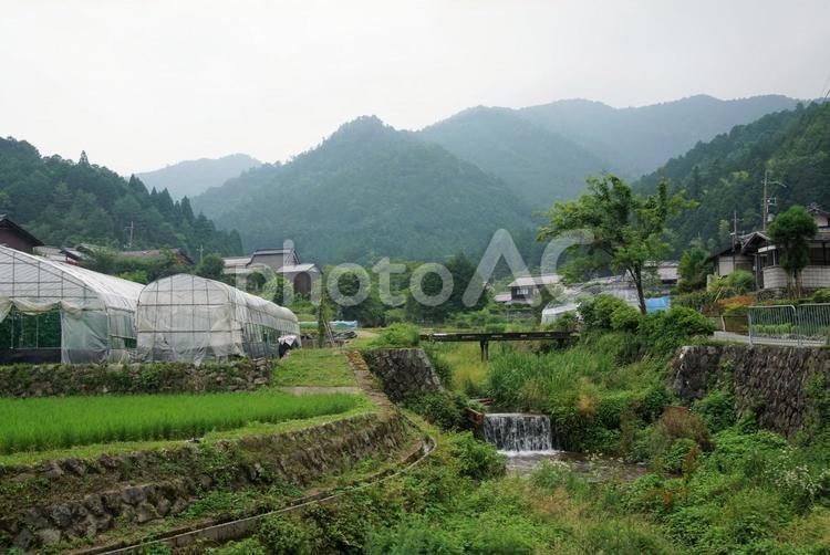 大原の田園風景 京都,左京区,大原の写真素材