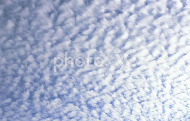 秋の群雲２（むらくも） 気象,空,雲の写真素材