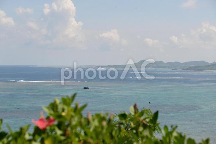 石垣島　玉取崎展望台から眺める海とハイビスカス ハイビスカス,綺麗,エメラルドグリーンの写真素材