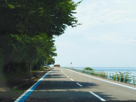 海沿いの道 海沿いの道 道路,道,木の写真素材