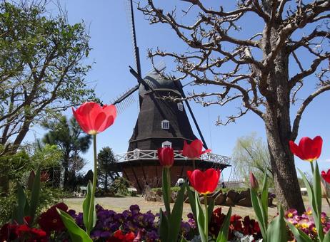 Andersen Park in April-62, JPG