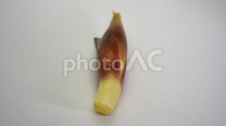 みょうがのアップ写真 みょうが,茗荷,薬味の写真素材