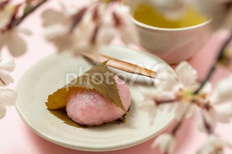 桜もちとお茶 和菓子,桜もち,お花見の写真素材