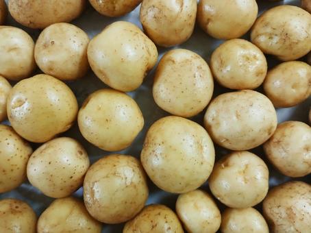 ジャガイモ 平置き ジャガイモ 平置き ジャガイモ,野菜,ポテトの写真素材