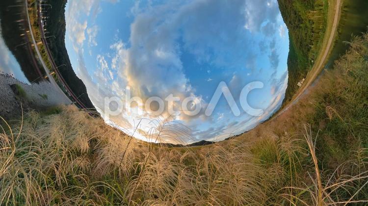 河川敷の夕焼け・すすき オレンジ色,オレンジ,skyの写真素材