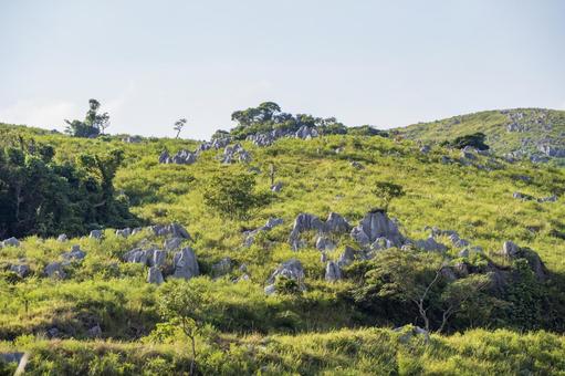 秋吉台  秋吉台  秋吉台,カルスト台地,カルストの写真素材