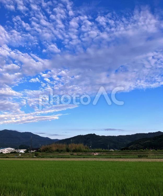 青空とヒツジ曇 空,空模様,曇の写真素材
