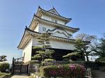 青空と丸亀城 丸亀城,丸亀市,香川の写真素材