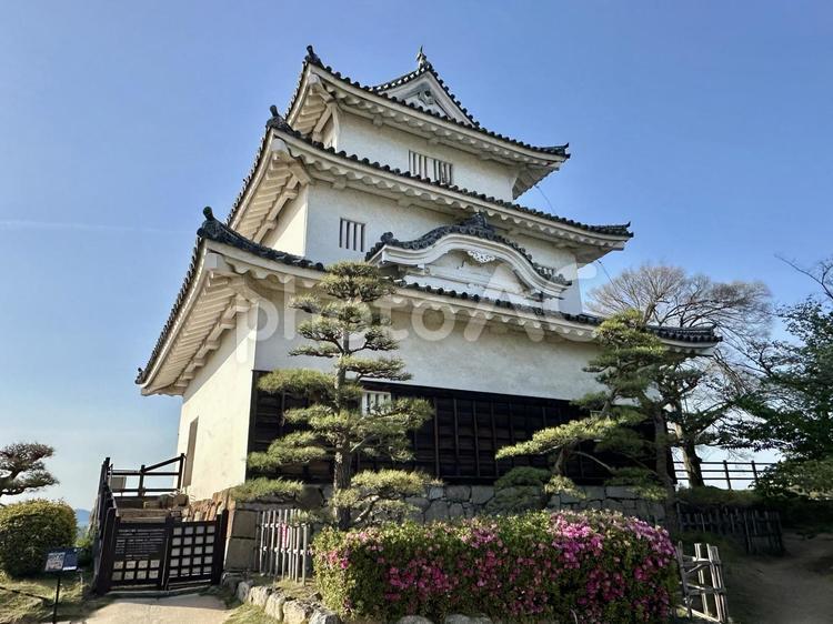 青空と丸亀城 丸亀城,丸亀市,香川の写真素材
