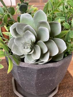 多肉植物の造花 多肉植物の造花の写真