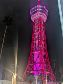 博多ポートタワーの夜 博多ポートタワー,福岡,博多の写真素材