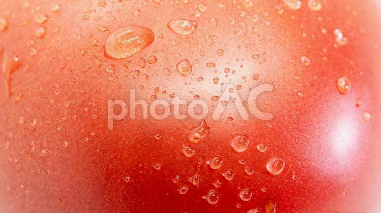 完熟トマト　表面　マクロ撮影 トマト,完熟トマト,野菜の写真素材