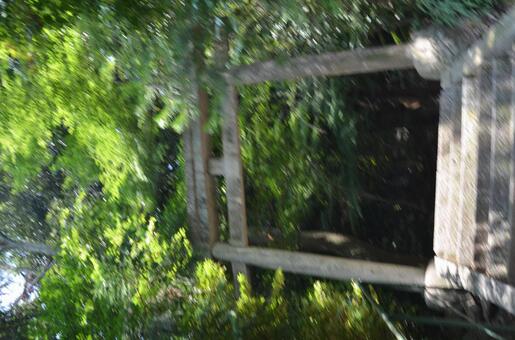 Photo, torii, stage, a shrine, 