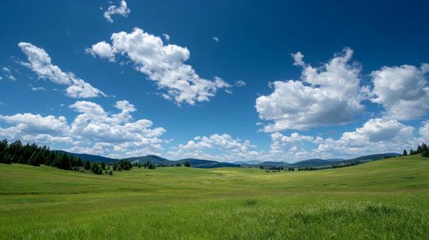自然の美しさ:穏やかな丘と晴れた空 自然の美しさ:穏やかな丘と晴れた空の写真