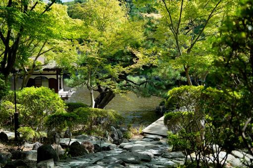 和歌山城　日本庭園 日本庭園,和歌山城,池の写真素材