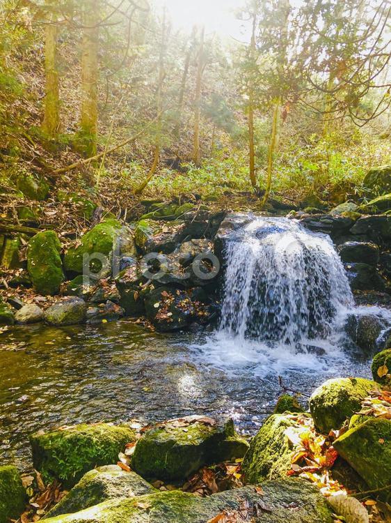 秋の寺下の滝 滝,自然,癒しの写真素材