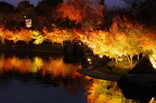 Autumn leaves, autumn leaves, night view, burn, JPG