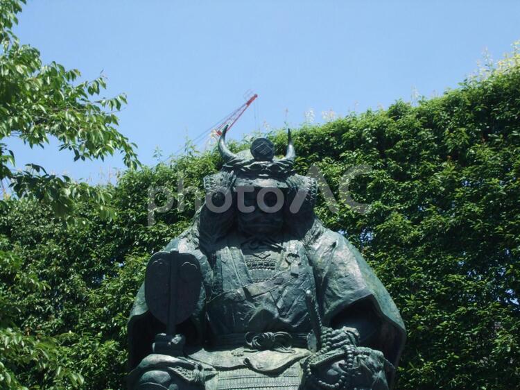 武田信玄 銅像,武田信玄,甲府の写真素材