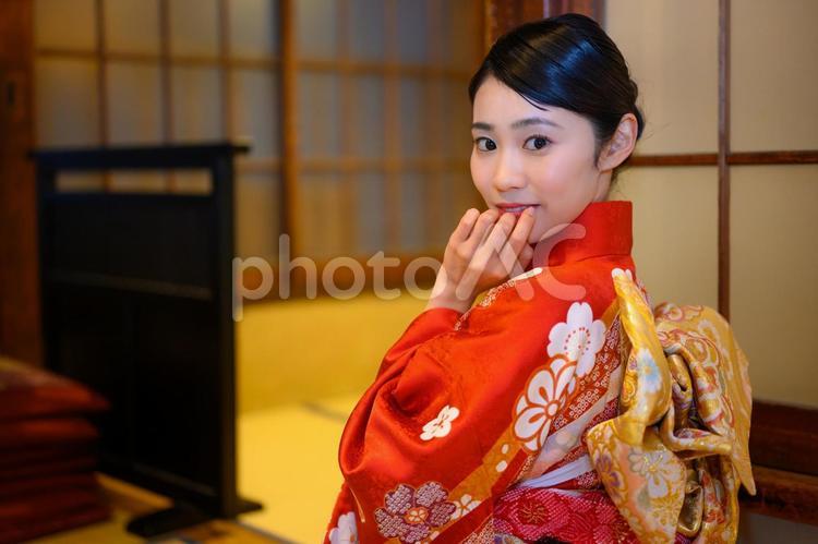 和室に座っている20代の着物の女性 女性,着物,和服の写真素材