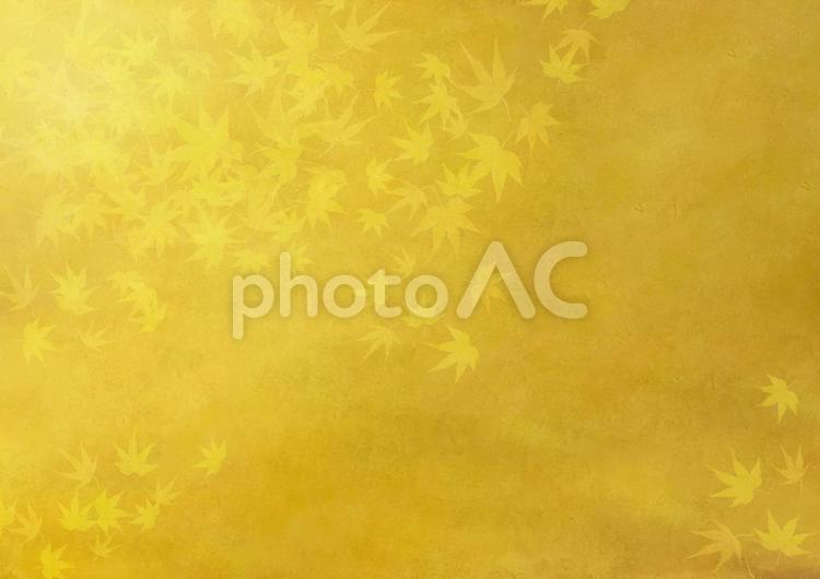 金の和紙に紅葉のデザイン柄 ゴールド,和紙,もみじの写真素材