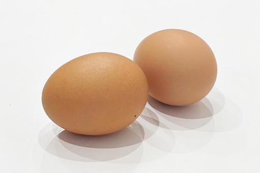 玉子の写真