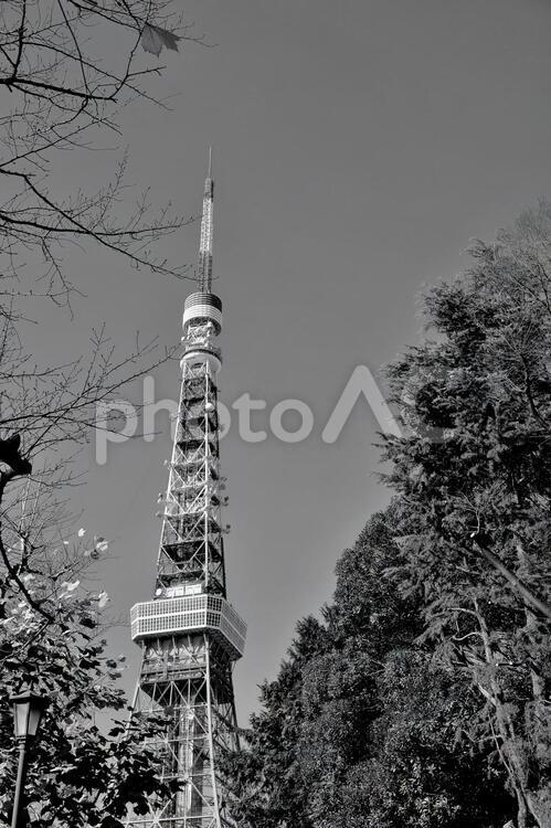 増上寺界隈６　モノクロ 東京タワー,モノクロ,東京の写真素材