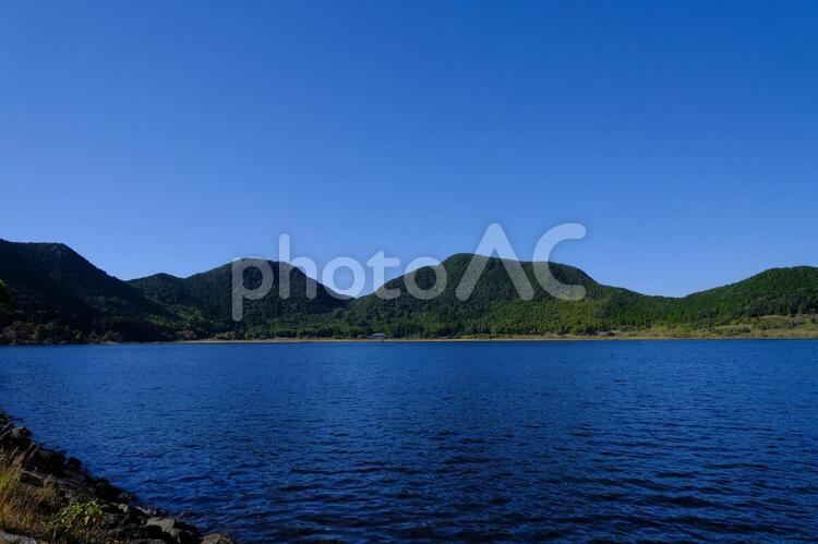 藺牟田池の大自然 藺牟田池,湖,池の写真素材