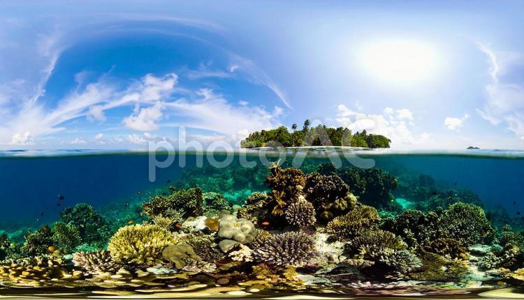 透明で透きとおった海の中のサンゴ礁 透明な海,透き通る海,サンゴ礁の写真素材
