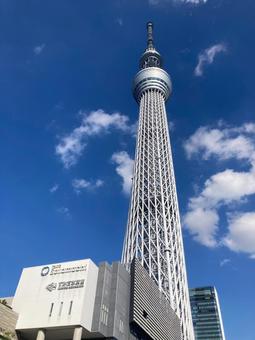 スカイツリーとソラマチ スカイツリーとソラマチの写真