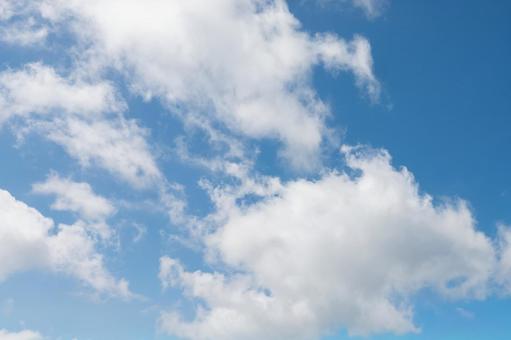 雲が浮かぶ美しい青空 雲が浮かぶ美しい青空 青空,空,雲の写真素材