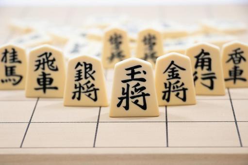将棋イメージ 将棋イメージ,将棋,玉将の写真素材