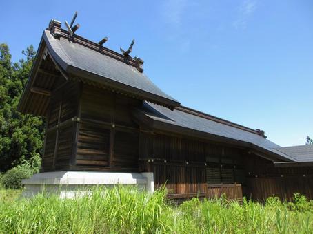 新潟県-居多神社-本殿 新潟県-居多神社-本殿 居多神社,神社,越後国の写真素材